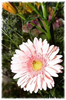 Bouquet de Fleurs-14